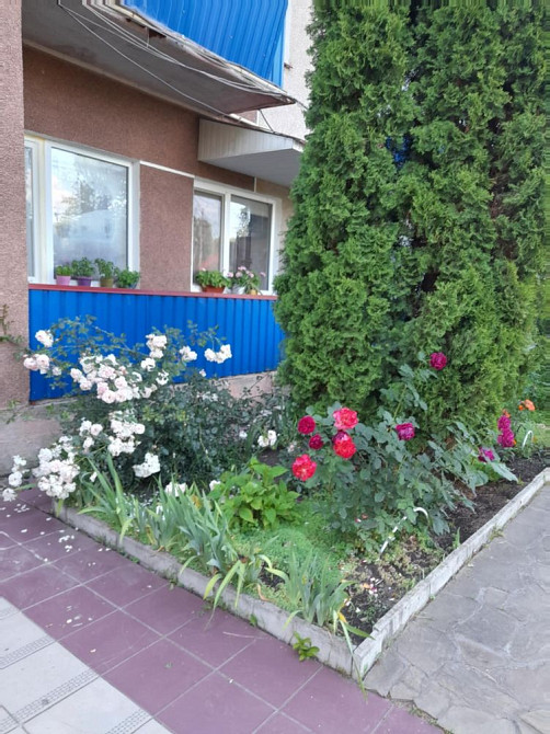 Однокімнатна квартира з хорошим ремонтом ! Немішаєве - зображення 5