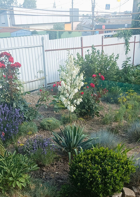 Квартира  схожа на частину будинку на ближньому Старому місті Винница - изображение 8