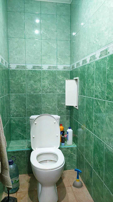 Здається 2 кімнатна квартира в с. Святопетрівське Святопетрівське (Києво-Свят.р-н) - зображення 7