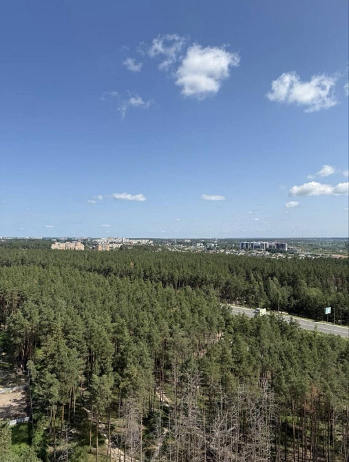 1к квартира- найнижча ціна, близький виізд до столиці! Ирпень - изображение 4