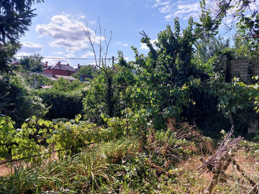 Дубовая Роща: продам участок в живописном районе в двух шагах от моря! Одеса - зображення 1