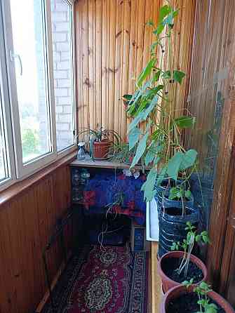 Продам квартиру 3-х комн Фестевальная Запоріжжя