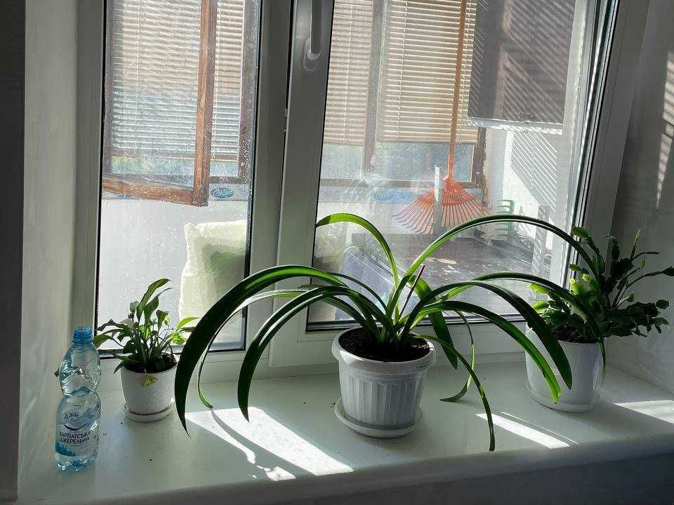 Продаж 4к квартири 84 кв. м на вул. Вітряні Гори, 17 Київ - зображення 1