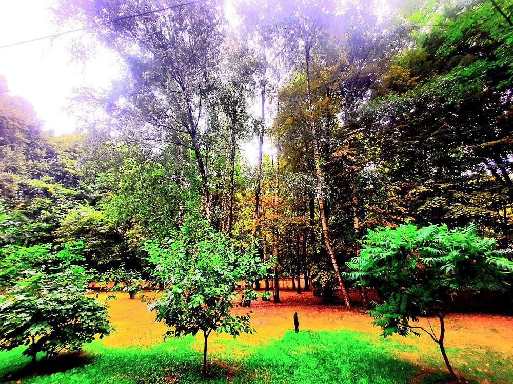 Цегляний_Будинок_Совмін_3-кім_80м2_вул.Омеляновича Павленка Михайла,13 Київ - зображення 7