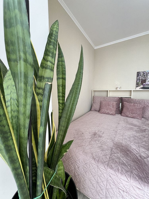 Продаж двокімнатної квартири біля парку. Ірпінь. Газ. Ирпень - изображение 6