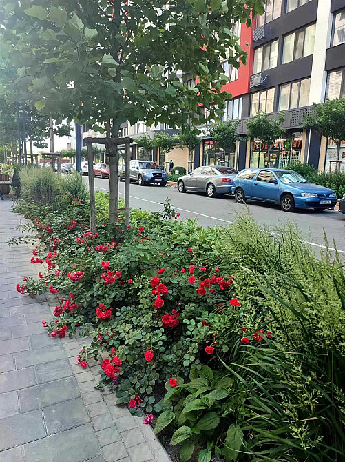 Срочная продажа! квартира-студия в ЖК Таировские Сады Таирова 15700у.е Лиманка - зображення 3