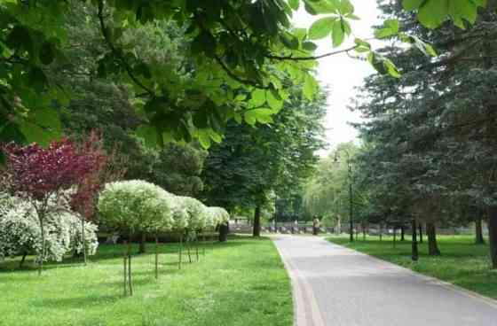 Терміново! Однокімнатна з ремонтом біля парку Шевченка Івано-Франківськ