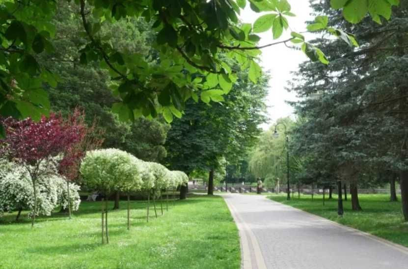 Терміново! Однокімнатна з ремонтом біля парку Шевченка Івано-Франківськ - зображення 1