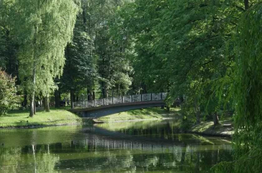 Терміново! Однокімнатна з ремонтом біля парку Шевченка Івано-Франківськ - зображення 7