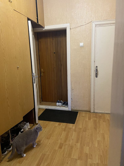 Здам в оренду 3-кімнатну квартиру! Здолбунів-2 Рівне - зображення 5