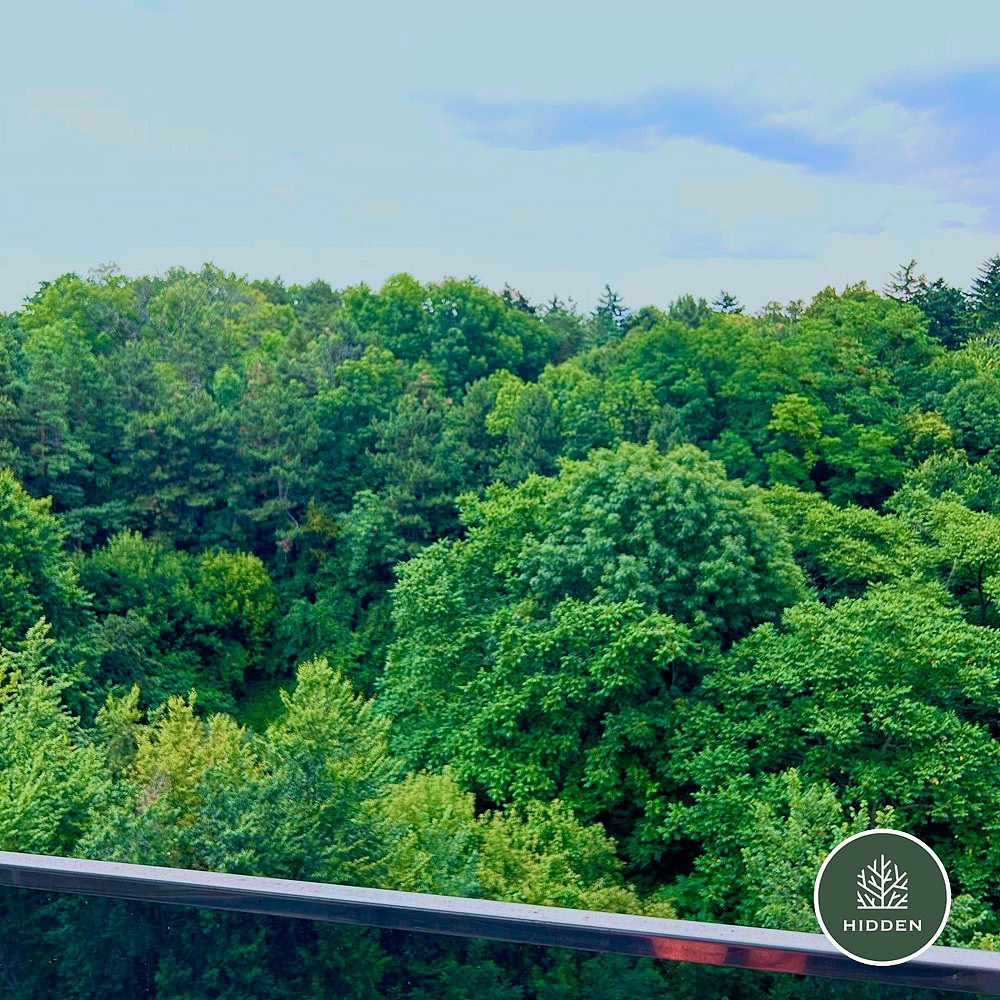 Продаж видової квартири 65.6 м² з вільним плануванням в ЖК "Hidden" Київ - зображення 5