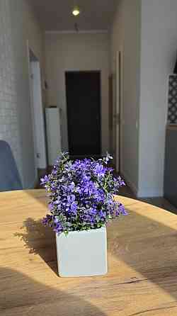 Однокомнатная квартира. ЖК Пространство на Гераневой.Фонтан. Аркадия Одеса