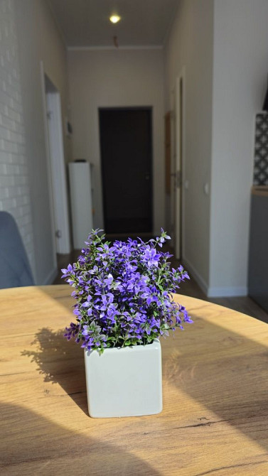 Однокомнатная квартира. ЖК Пространство на Гераневой.Фонтан. Аркадия Одеса - зображення 1