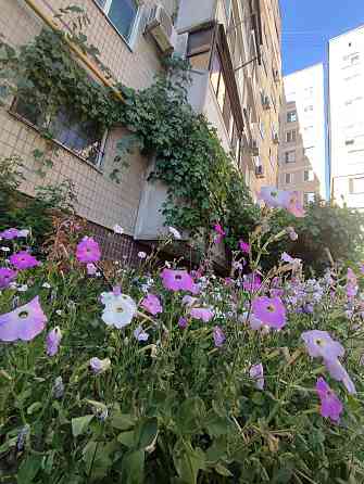 Продам 2х ком квартиру, Янтарная, Калиновая, чешка, косметика, выгодно Днепр