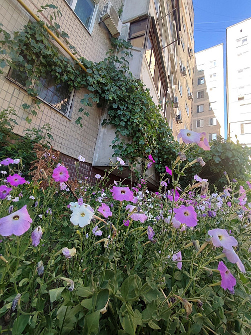 Продам 2х ком квартиру, Янтарная, Калиновая, чешка, косметика, выгодно Днепр - изображение 2