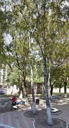 4х ком. Сотовый проект Ак. Заболотного/ Днепродорога Одесса