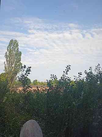 Дешево від власника Ужгород