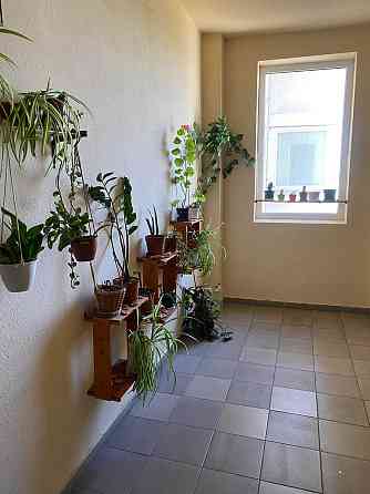 Продажа 1-комн. кв в новом ЖК на Таирова (р-н. Вузовский) Одесса