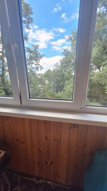 Продам 2 ком Шерстянка Сертификат Чернигов - изображение 5