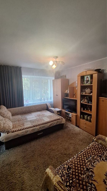 Продам 2 ком Шерстянка Сертификат Чернигов - изображение 8