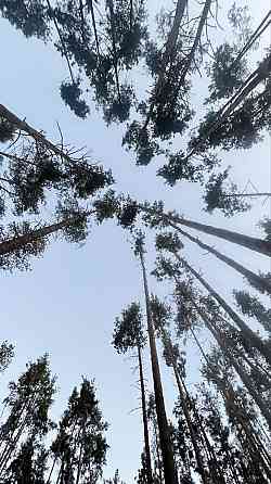 2к квартира поряд з парком-СУПЕР УМОВИ Буча