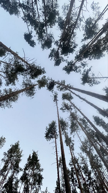 2к квартира поряд з парком-СУПЕР УМОВИ Буча - изображение 3