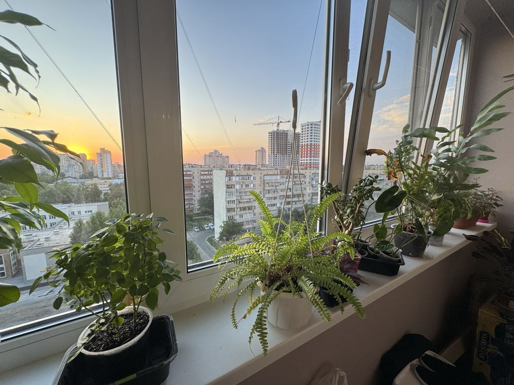 Терміновий продаж  3х кім квартири в центрі міста Бровари - зображення 6