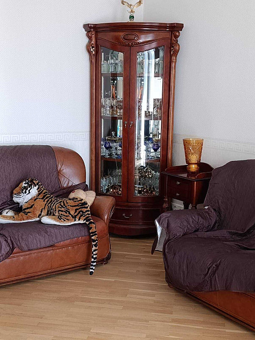 продам 4х комнатную кв. с кап. ремонтом 119м2 в центре пер.Слесарный10 Харьков - изображение 7