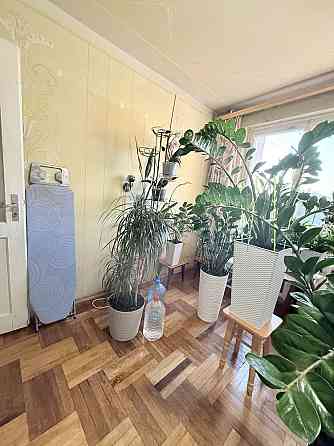 ‼️ 3-х кімнатна торг Пасічна ( парк Погулянка) Львов