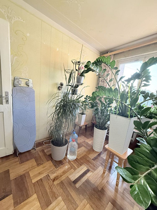 ‼️ 3-х кімнатна торг Пасічна ( парк Погулянка) Львов - изображение 5