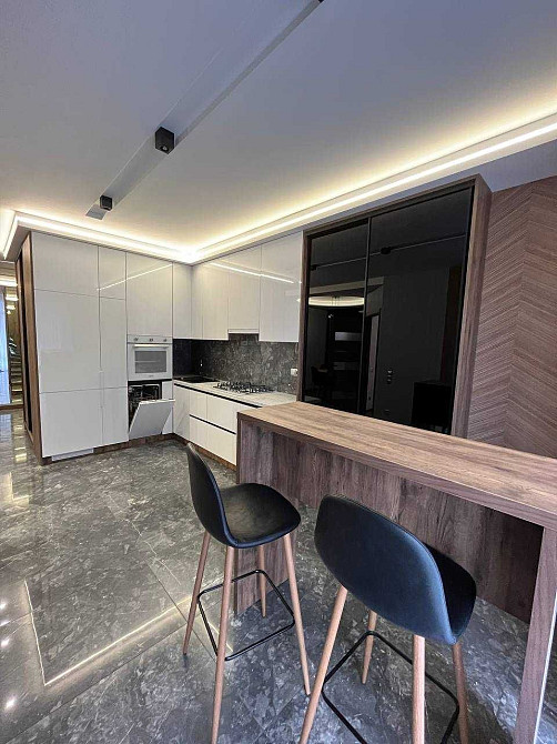 Оренда 1-кімнатної квартири з кухнею-студією на пр. Чорновола, AVALON Львов - изображение 1