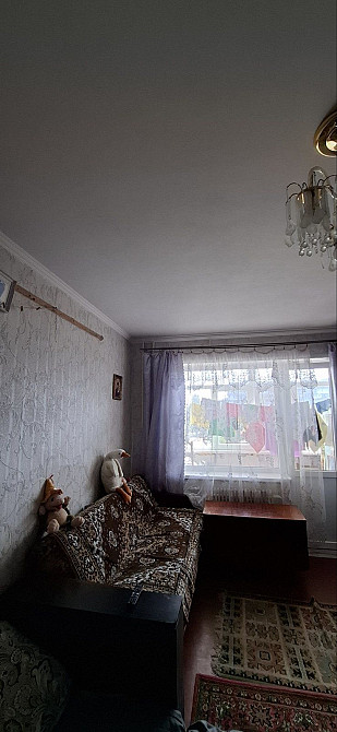 Сдам 1 к квартиру, левый берег. Кам`янське (Запорізька обл.) - зображення 1