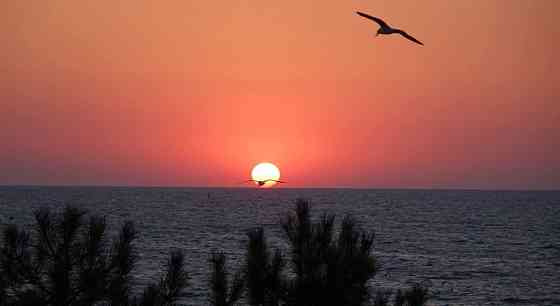 Евро курень , море во весь горизонт. Одесса