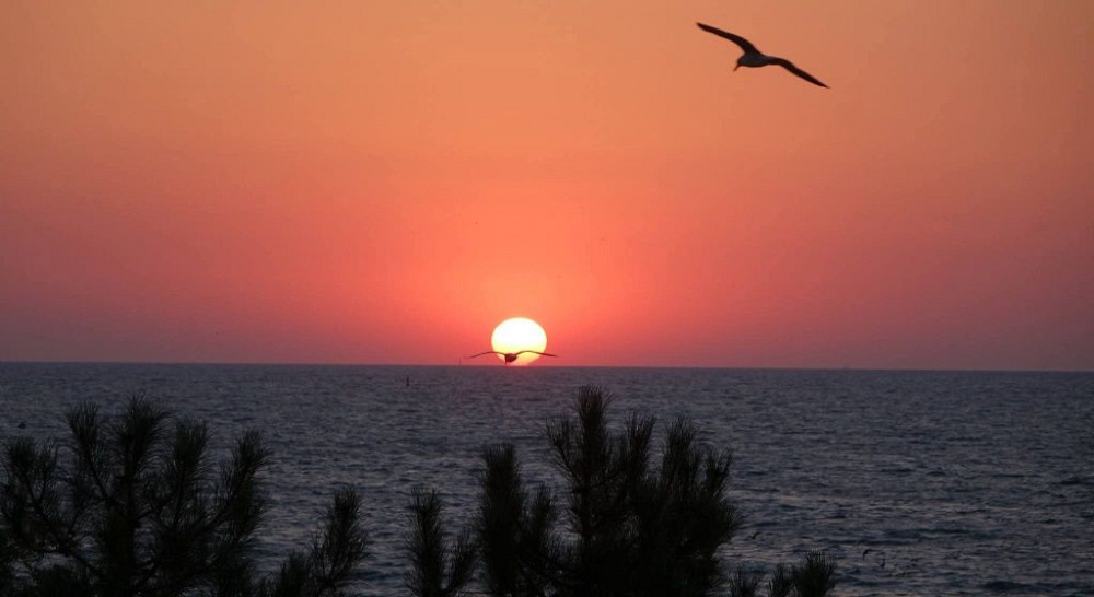 Евро курень , море во весь горизонт. Одесса - изображение 1