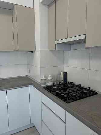 Оренда двохкімнатної квартири + кухня студія Малоголосківська Львов