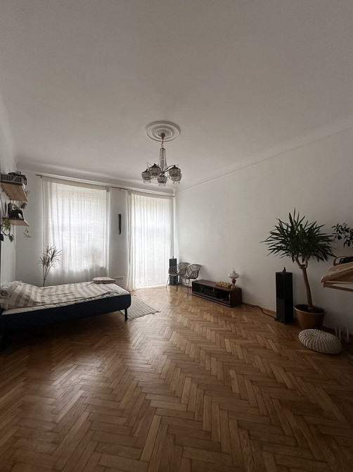 Власник. Стрийський ринок. Австрійський будинок. Львов - изображение 4