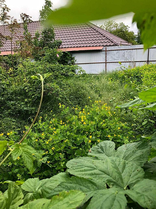 Продам 1-но комнатную квартиру Холодна Балка - зображення 3