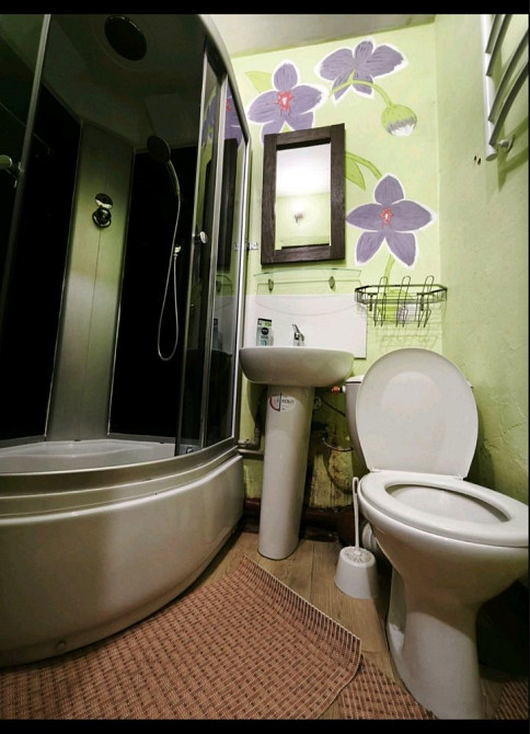 Здам квартиру Новомиколаївка, з Автономкою! Кропивницький - зображення 5