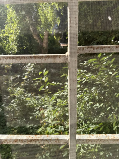 Сдам 3 х ком квартиру в центре  Черемушек Одеса - зображення 7