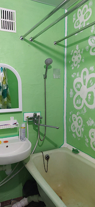 Продається однокімнатна квартира Ріпки - зображення 8