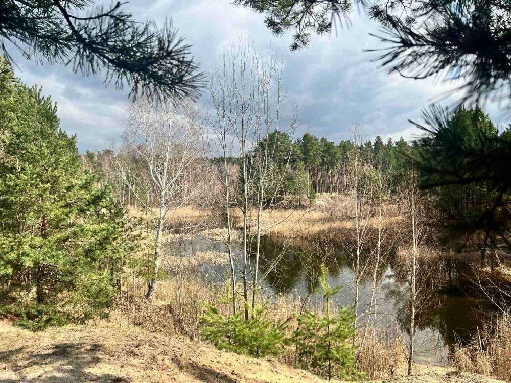 Житло в клубному будинку біля лісу – 3 хв м. Лісова! Киев - изображение 5