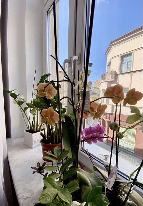 Апартаменти від власника в центрі Ужгорода Соломоново - изображение 7