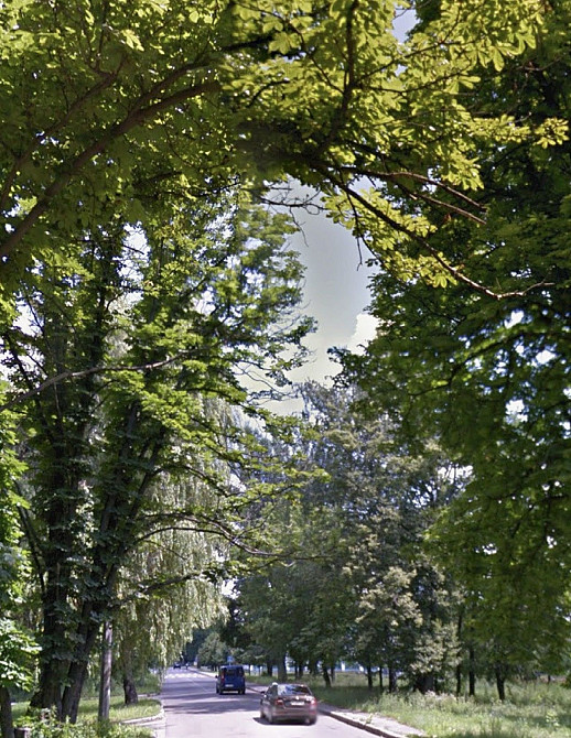 Здається в оренду 2 кімнатна квартира Полтава - зображення 1