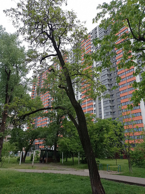 Продаж 2 кімнатної квартири на вул. В.Сосюри 6б, ЖК "Дніпровська мрія" Киев - изображение 3