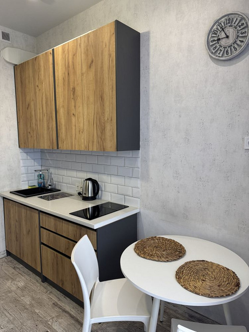 Аренда 1 ком Элегия Парк на долгосрочно Аркадия  Генуэская собственик Одеса - зображення 6