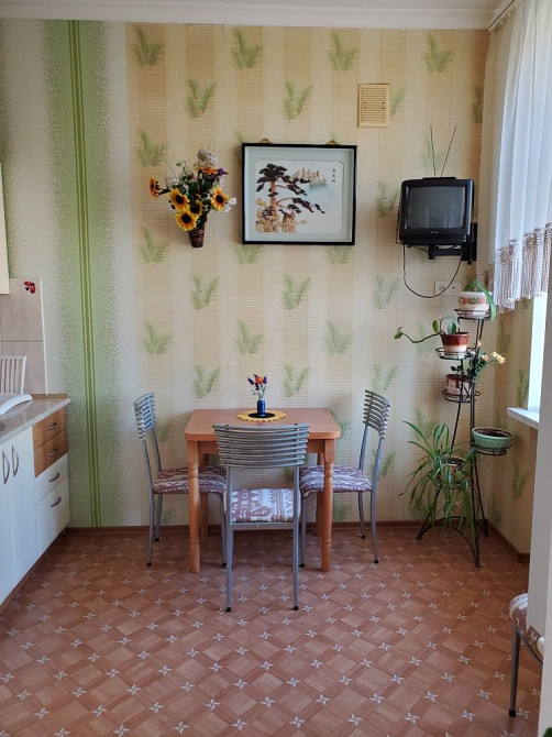 Сдам просторную 2к квартиру ул. Новосельского/Ольиевская,Центр. Одеса - зображення 7