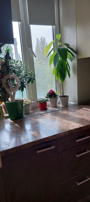 Власник! Нивки, Шевченківський Бульвар Павла Вірського45 (Саратівська] Київ - зображення 5