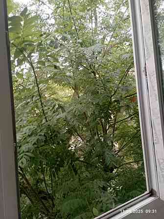 Сдам 1-но комнатную  квартиру на пр. Шевченко Одеса