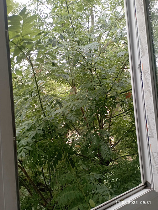 Сдам 1-но комнатную  квартиру на пр. Шевченко Одеса - зображення 4