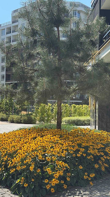 Квартири від забудовника НАПРЯМУ. Продаж 36-го будинку. Синергія Сіті. Ірпінь - зображення 8